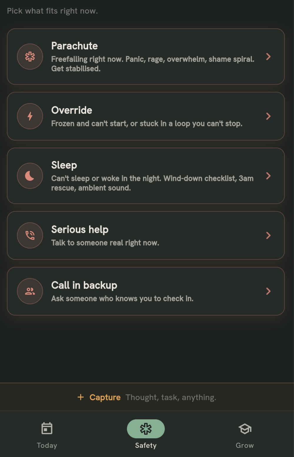 Safety tab showing five regulation tools